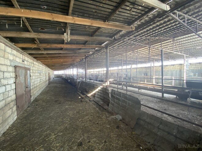 Satılır  obyekt 5 000 m², photo 10 from 29