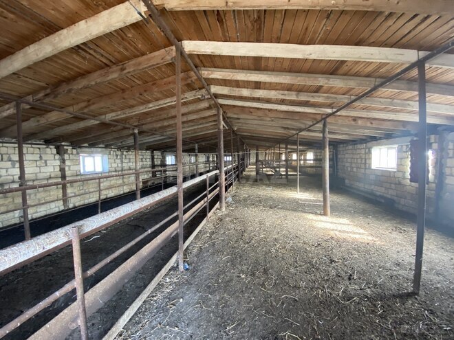 Satılır  obyekt 5 000 m², photo 9 from 29