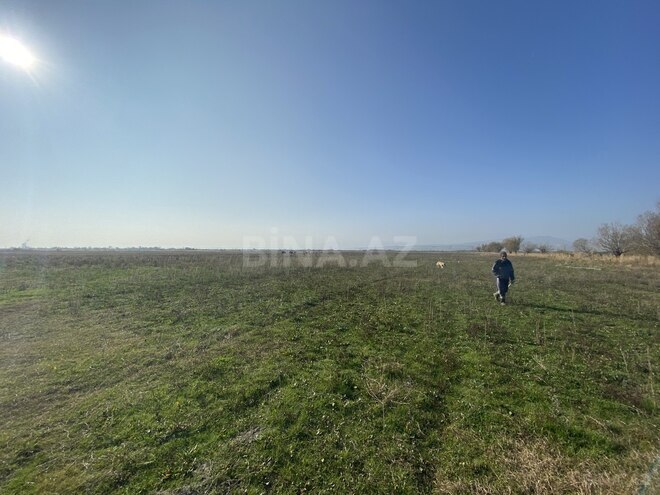 Satılır  obyekt 5 000 m², photo 6 from 29