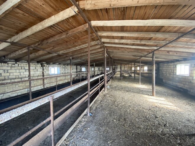 Satılır  obyekt 5 000 m², photo 26 from 29