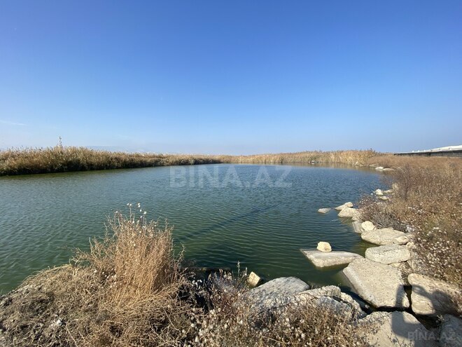 Satılır  obyekt 5 000 m², photo 19 from 29
