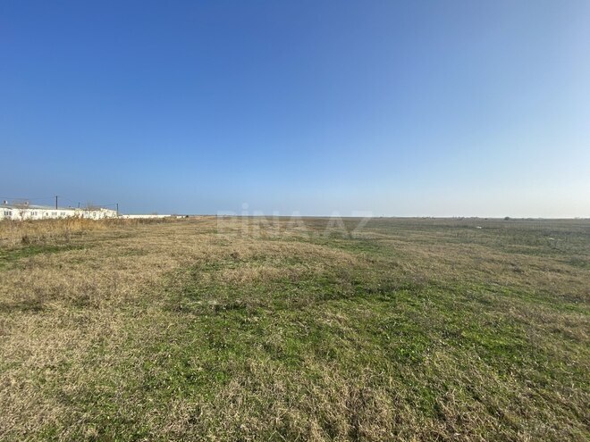 Satılır  obyekt 5 000 m², photo 5 from 29