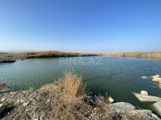 Satılır  obyekt 5 000 m², photo 20 from 29