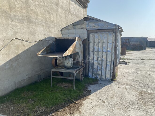 Satılır  obyekt 5 000 m², photo 22 from 29