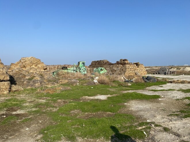 Satılır  obyekt 5 000 m², photo 16 from 29