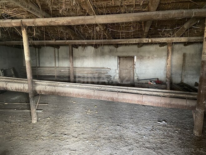 Satılır  obyekt 5 000 m², photo 23 from 29