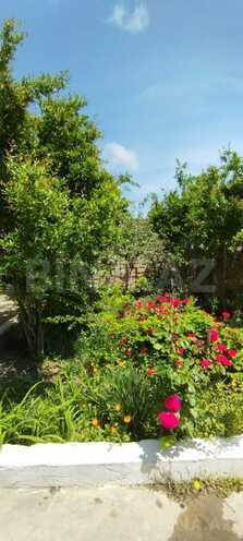 Satılır 4 otaqlı həyət evi/bağ evi 110 m², Zığ q., photo 9 from 17