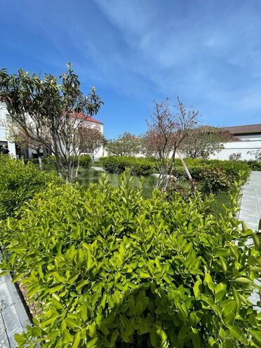 Satılır 8 otaqlı həyət evi/bağ evi 585 m², Novxanı q., photo 17 from 32