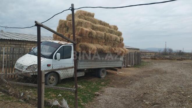 Продаётся  участок 500 сот, photo 20 from 21