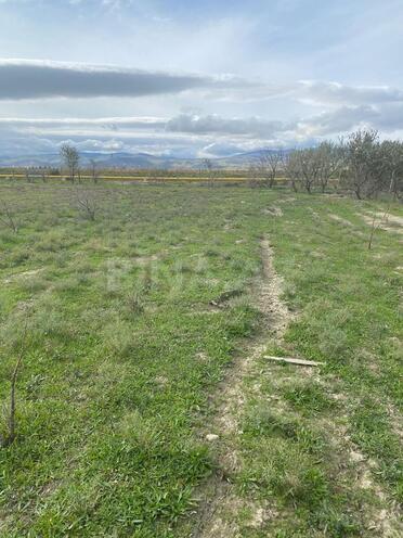 Продаётся  участок 500 сот, photo 5 from 21
