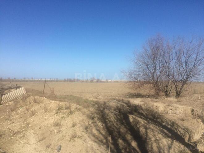 Продаётся  участок 500 сот, photo 9 from 21