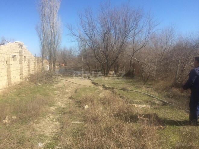 Продаётся  участок 500 сот, photo 14 from 21