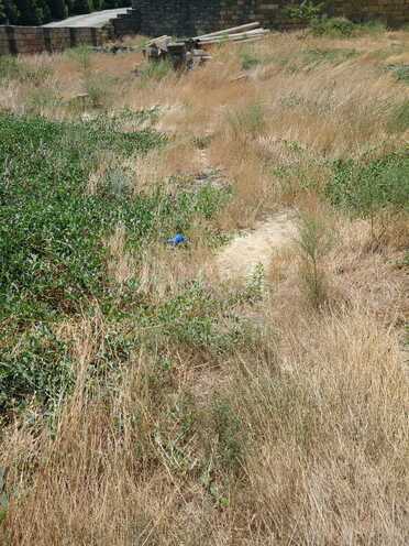 Satılır  torpaq 6 sot, Badamdar q., photo 5 from 6