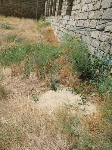Satılır  torpaq 6 sot, Badamdar q., photo 4 from 6