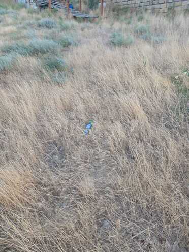 Satılır  torpaq 5 sot, Badamdar q., photo 7 from 11