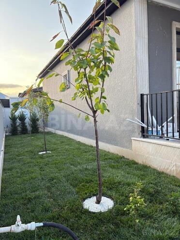 Satılır 4 otaqlı həyət evi/bağ evi 140 m², Mehdiabad q., photo 4 from 14