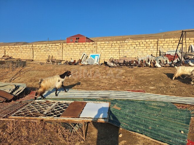 Продаётся  участок 4 000 сот, пос. Атъялы, photo 4 from 7
