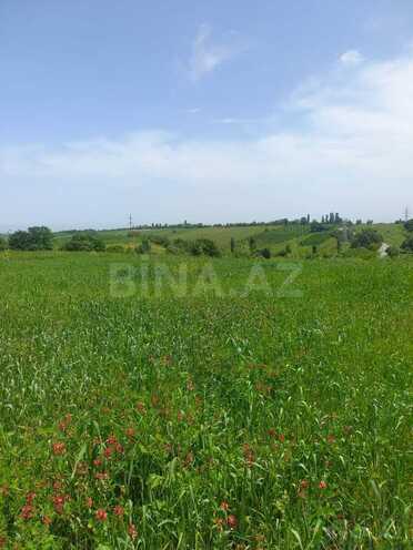 Satılır  torpaq 80 sot, photo 4 from 6