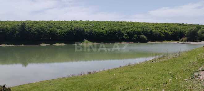 Satılır  torpaq 80 sot, photo 5 from 6
