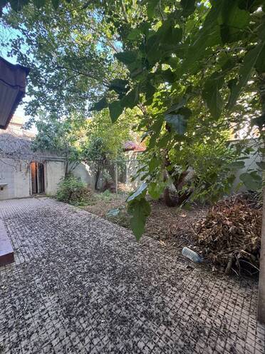 Сдаётся  объект 550 м², м. Насими, photo 1 from 15