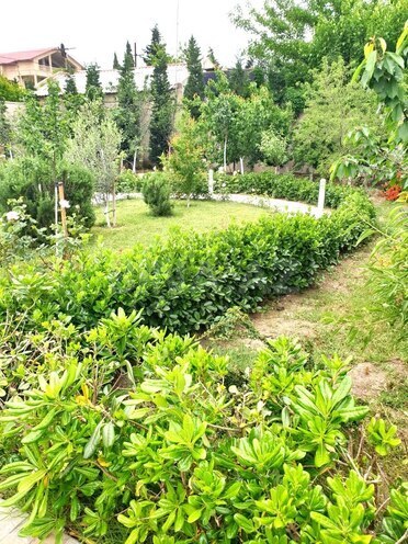Satılır 7 otaqlı həyət evi/bağ evi 602 m², Sabunçu r., photo 16 from 23