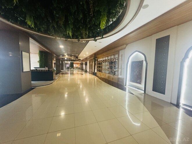 Продаётся  объект 463 м², м. Шах Исмаил Хатаи, photo 3 from 20