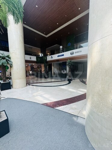 Продаётся  объект 463 м², м. Шах Исмаил Хатаи, photo 4 from 20