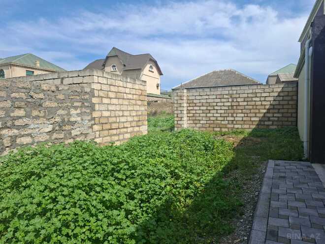 Продаётся  участок 8 сот, пос. Бина, photo 3 from 6