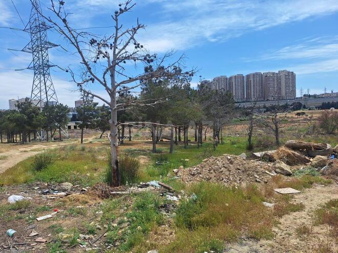 Satılır  torpaq 30 sot, Neftçilər m., photo 3 from 4