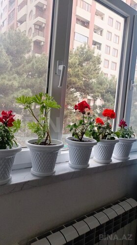 Satılır 2 otaqlı köhnə tikili 55 m², Bakmil m., photo 11 from 20