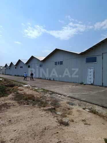 İcarəyə verilir  obyekt 2 000 m², Maştağa q., photo 4 from 11