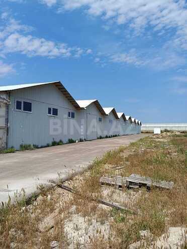 İcarəyə verilir  obyekt 2 000 m², Maştağa q., photo 1 from 11
