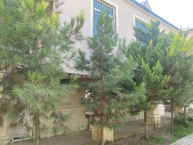 Продаётся  участок 60 сот, пос. Мардакан, photo 6 from 9