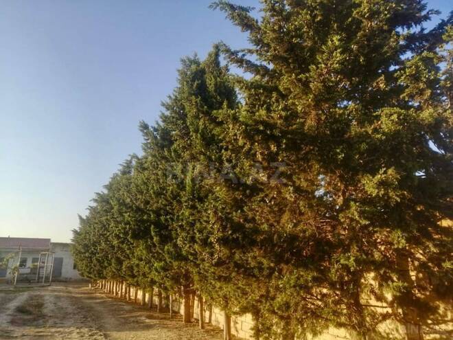 Satılır 8 otaqlı həyət evi/bağ evi 450 m², Abşeron r., photo 9 from 12