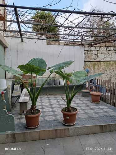 Satılır 7 otaqlı həyət evi/bağ evi 140 m², Bülbülə q., photo 4 from 18