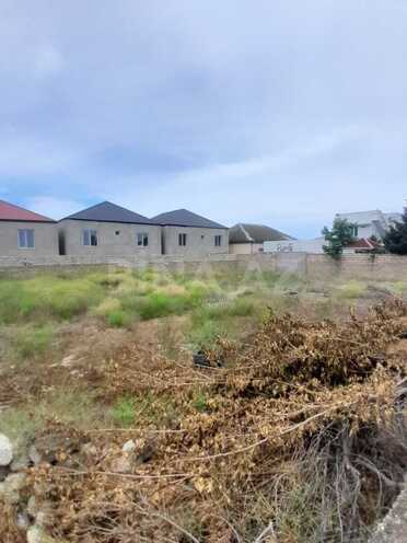 Satılır  torpaq 6 sot, Albalılıq q., photo 1 from 6