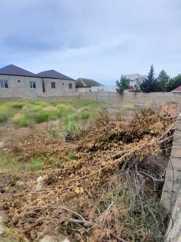 Satılır  torpaq 6 sot, Albalılıq q., photo 3 from 6