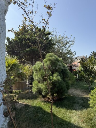 Сдаётся 4-комн. дом/дача 300 м², пос. Мардакан, photo 22 from 32