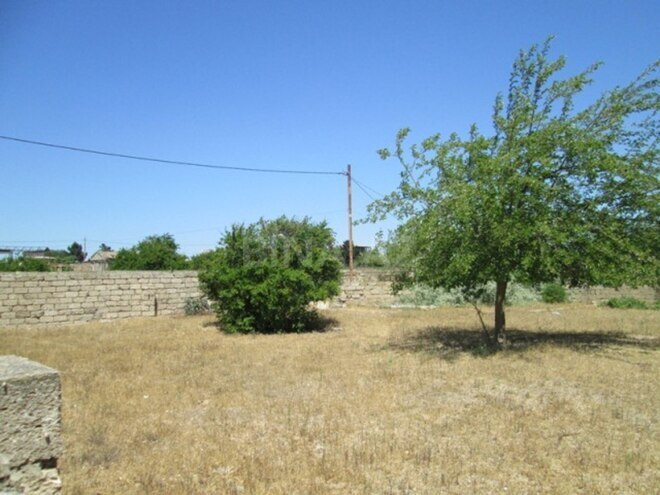 Продаётся  участок 128 сот, пос. Шувеляны, photo 4 from 7