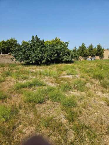 Satılır  torpaq 10 sot, Görədil q., photo 1 from 9