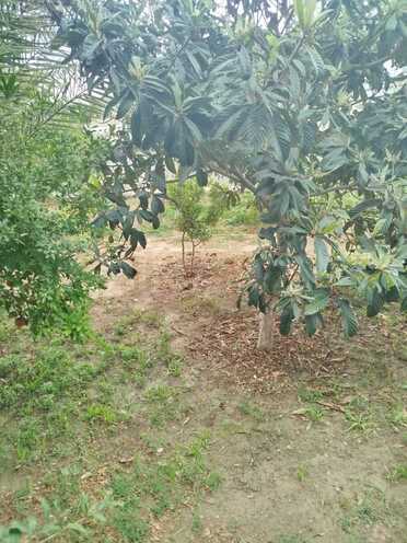 Satılır 5 otaqlı həyət evi/bağ evi 130 m², Həzi Aslanov q., photo 20 from 25