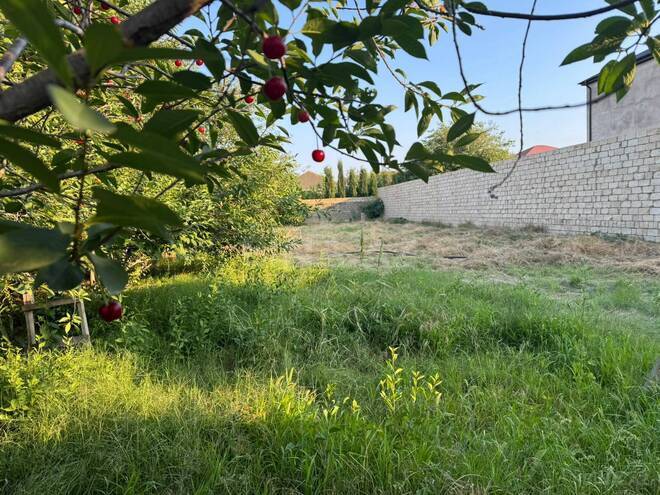 Satılır  torpaq 10 sot, Novxanı q., photo 10 from 13