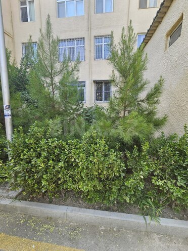Satılır 3 otaqlı köhnə tikili 75 m², 7-ci mikrorayon q., photo 17 from 21