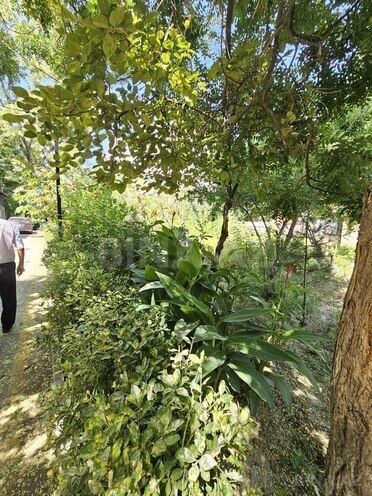 Satılır 3 otaqlı köhnə tikili 75 m², 7-ci mikrorayon q., photo 16 from 21