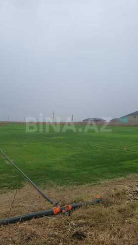 Продаётся  участок 200 сот, пос. Гала, photo 4 from 9