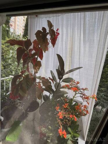 Satılır 3 otaqlı köhnə tikili 50 m², 20 Yanvar m., photo 14 from 18
