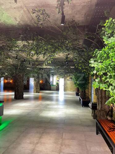 İcarəyə verilir 1 otaqlı ofis 40 m², Şah İsmayıl Xətai m., photo 12 from 16