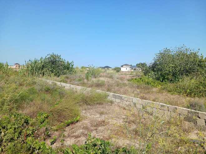 Satılır  torpaq 24 sot, Maştağa q., photo 4 from 8