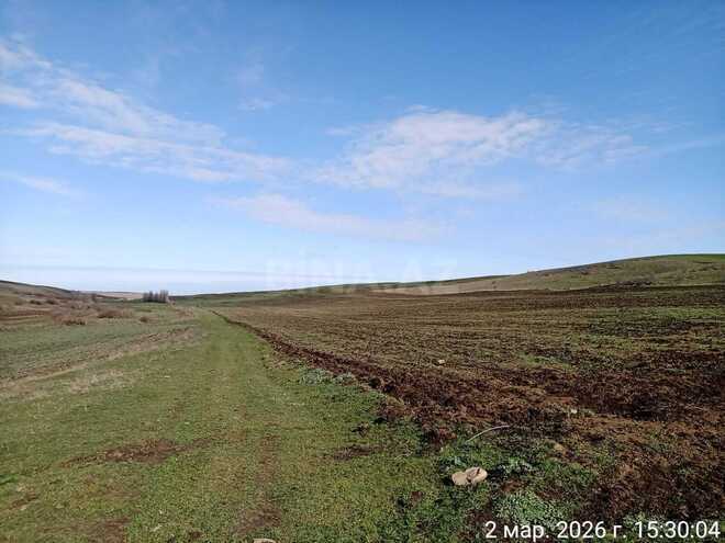 Продаётся  объект 6 000 м², photo 11 from 14