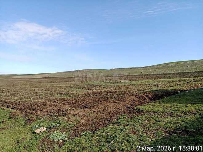 Продаётся  объект 6 000 м², photo 1 from 14